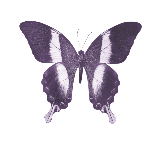 Mariposa