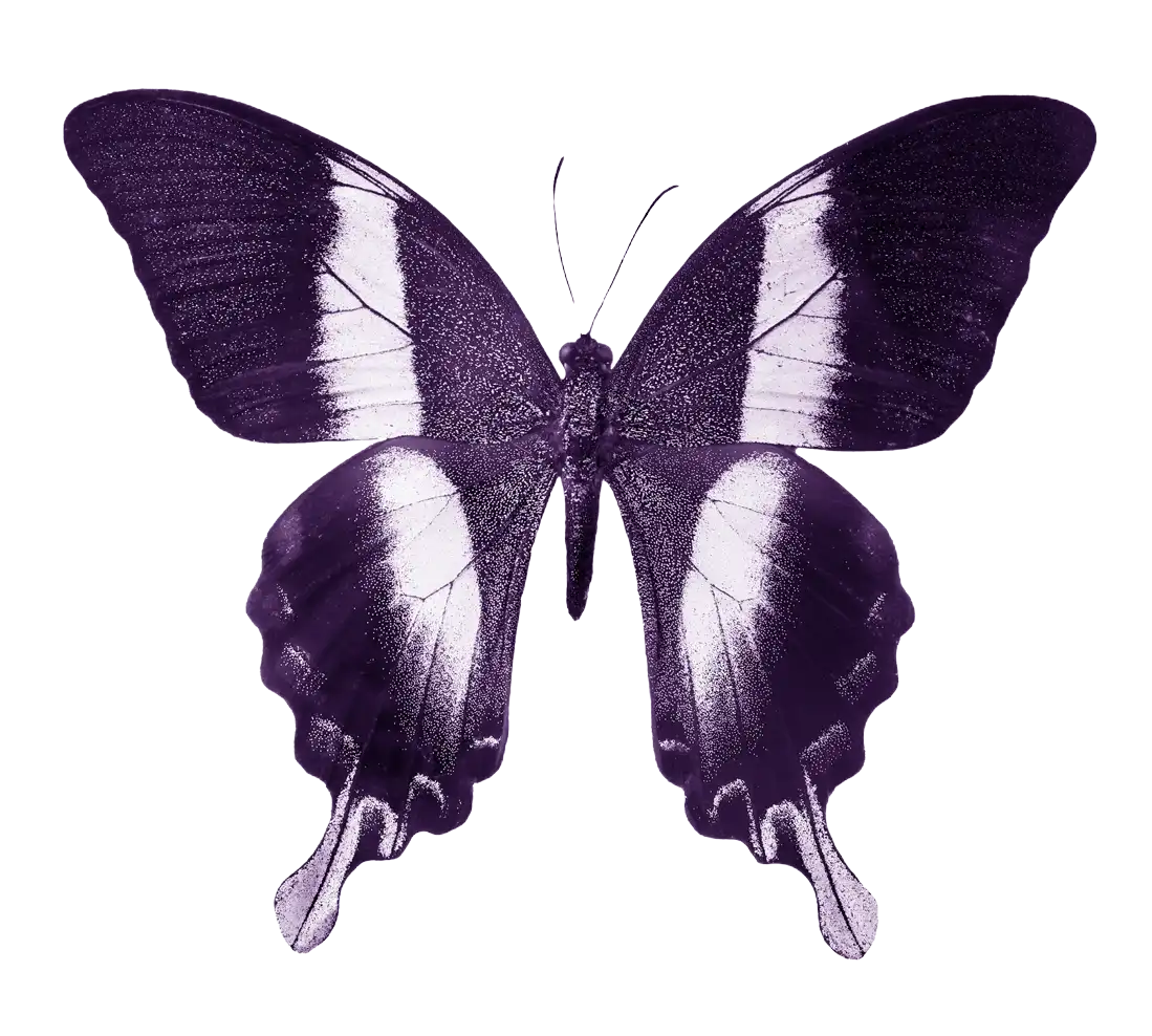 Mariposa